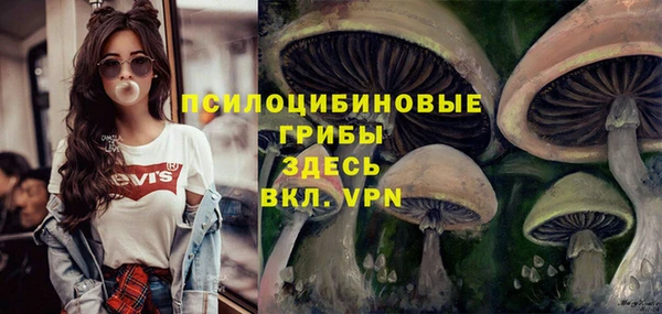 каннабис Верея