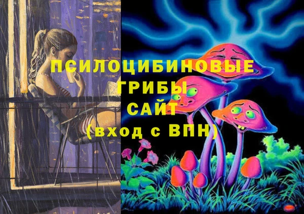 герыч Верхний Тагил