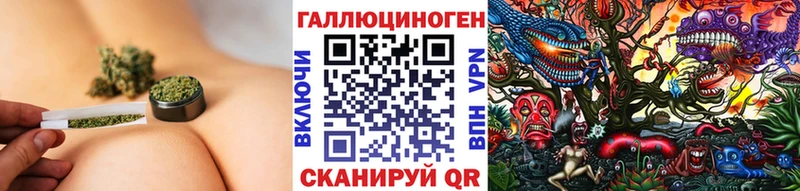 MEGA ONION  наркота  Высоковск  Псилоцибиновые грибы прущие грибы 